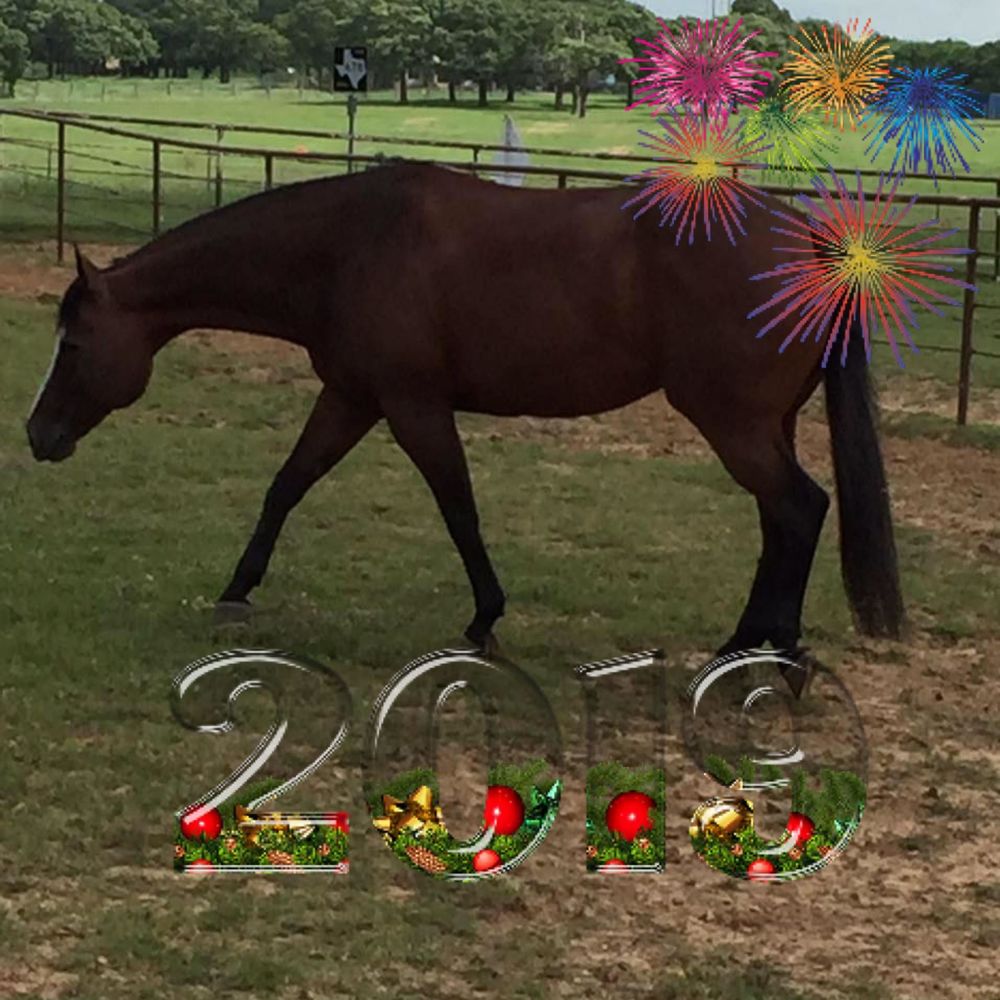 Meet your Posher, Joan